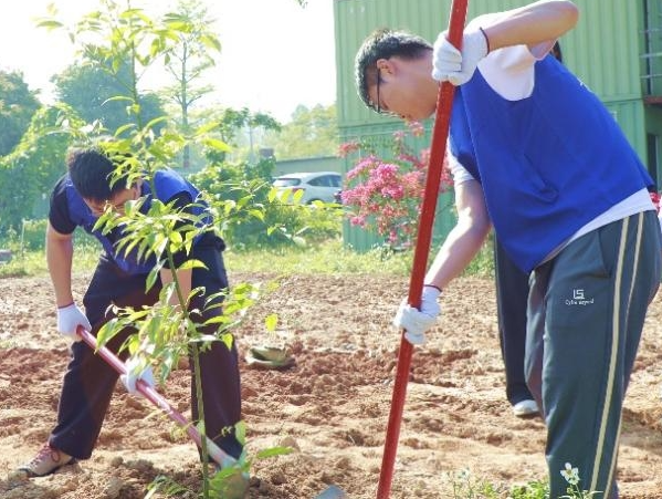 1773629732245038.png image.png