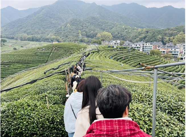 1775196034970515.png image.png