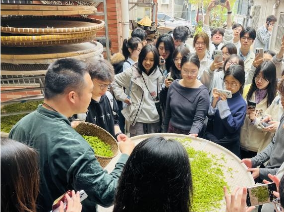 1775196041126818.png image.png