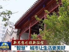 <font color='#0033CC'>【新思想引领新征程】“智慧”城</font>